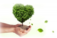 Конгресс в «Сколково»