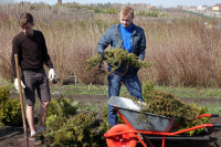 Университетский субботник