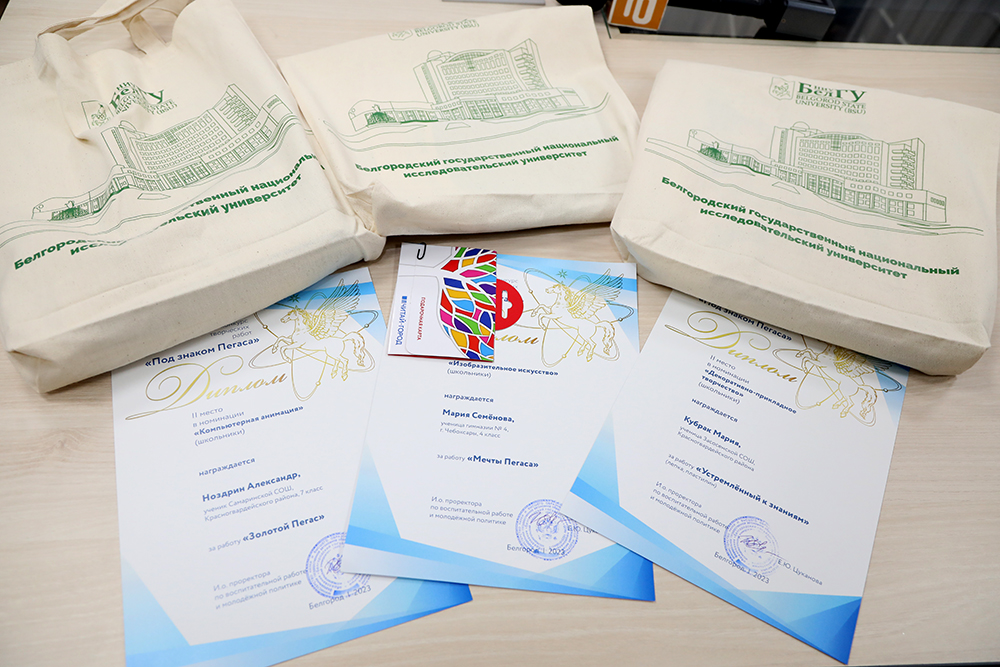 В НИУ «БелГУ» подвели итоги конкурса «Под знаком Пегаса»