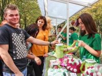 Белый цветок доброты