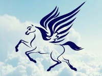 Известны участники финального этапа школы «Пегас»