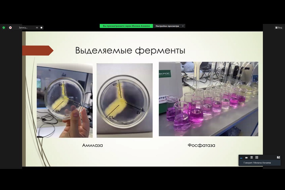 Международный симпозиум Innovations in Life Sciences завершился в НИУ «БелГУ»
